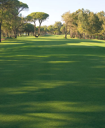 Kaya Palazzo Golf Course 1 Card (1)
